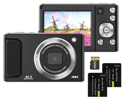 A black digital camera with its accessories, including a memory card and two batteries, is displayed against a white background. The camera's screen shows a colorful image of windmills.