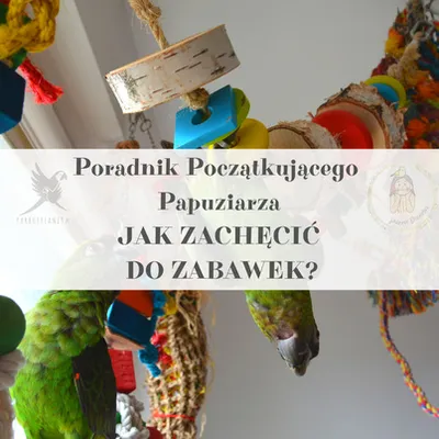 Obrázek produktu pro Průvodce papouškem - JAK VYCHOVAT PAPOUŠKA - Průvodce pro začátečníky s papoušky