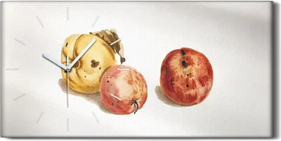 Produktbild von Wanduhr Uhr Wandbild Leinwand Geräuschlos 60x30 Gemälde Früchte Äpfel Kunst - weiße Hände