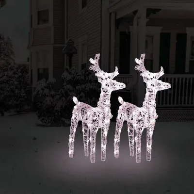 Produktbild von The Living Store LED-Rentiere 2 Stk. Warmweiß 80 LEDs Acryl