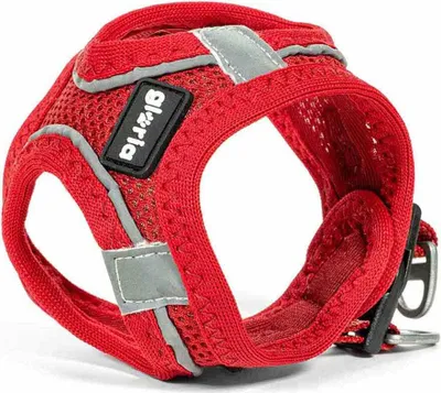 Zdjęcie produktu dla Gloria Air Mesh Trek Star Hundegeschirr L L