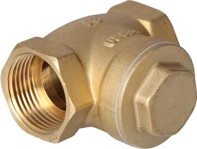 Image de clapet anti-retour 1 pouce avec clapet, PN16