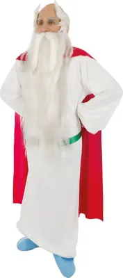 Miraculix deluxe Kostüm inkl. Perücke für Herren Gr. M-XL Asterix & Obelix Fasching Fasching Karneval Mottoparty Paarkostüm Gruppenkostüm