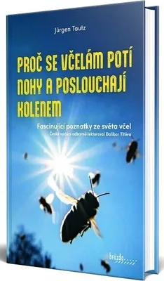 Image de Proč se včelám potí nohy a poslouchají kolenem
