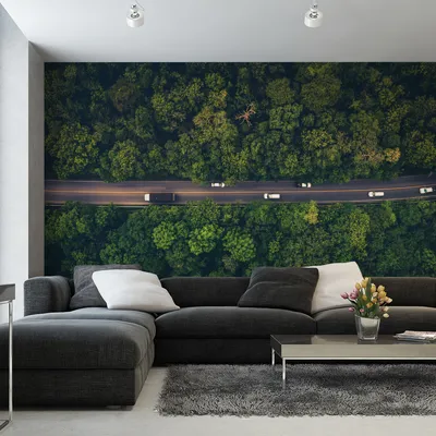 Produktbild von Muralo XXL Selbstklebende FOTOTAPETE STRA§E im Wald Aussicht von oben 3D Effekt (B) 368 cm x (H) 254 cm Tapete Wandtapete WOHNZIMMER SCHLAFZIMMER 4601