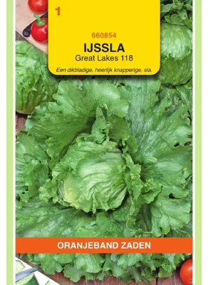 Imagen del producto de Oranjeband: Lechuga tipo "Kopfsalat" (lechuga de hoja suelta), variedad Great Lakes. 1 paquete de semillas