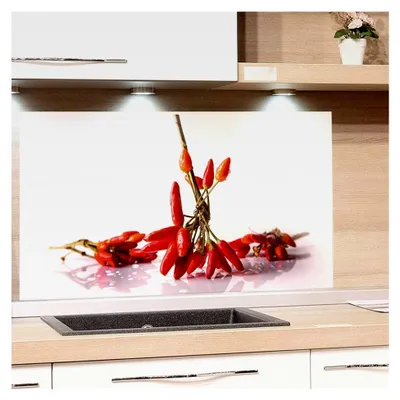 Produktbild von Küchenrückwand aus Glas mit Chili-Motiv | Spritzschutz für den Herd | Bildmotiv Gewürze, 100x60cm