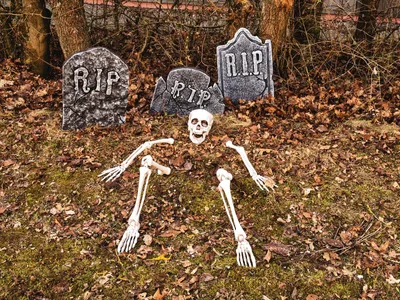 Produktbild von EUROPALMS Halloween Skelett, mehrteilig