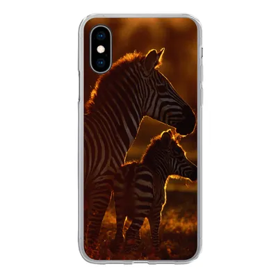 Produktbild von MuchoWow® Handyhülle Schutzhülle Hülle für iPhone X Zebra - Sonne - Fohlen Silikon Softcase Handy Hülle - Handyhülle
