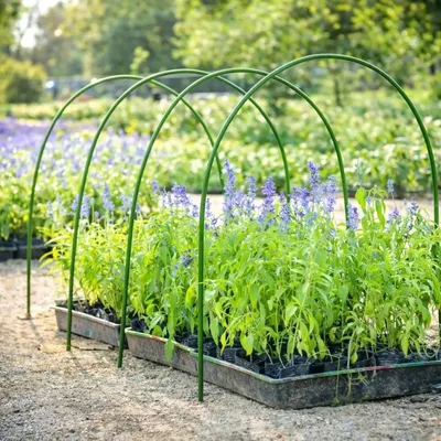 Image de Poteau PVC en forme de U pour plantes H60CM