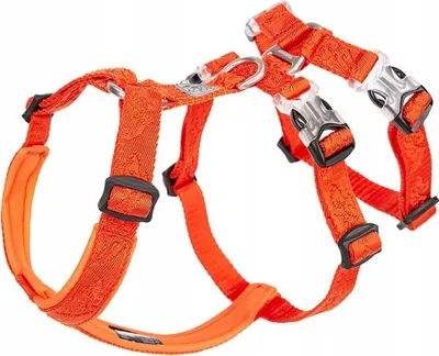 Immagine prodotto di Pettorina anti-fuga per cani da guardia Winhyepet XL