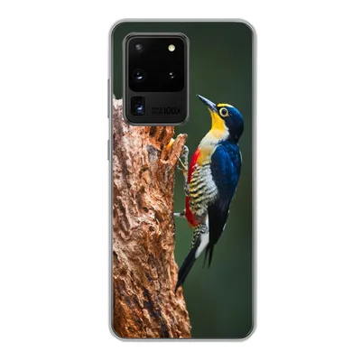 Produktbild von MuchoWow® Handyhülle Schutzhülle Hülle für Samsung Galaxy S20 Ultra Nahaufnahme eines bunten Vogels auf der Seite eines Baumstamms Silikon Softcase Handy Hülle - Karteninhaber