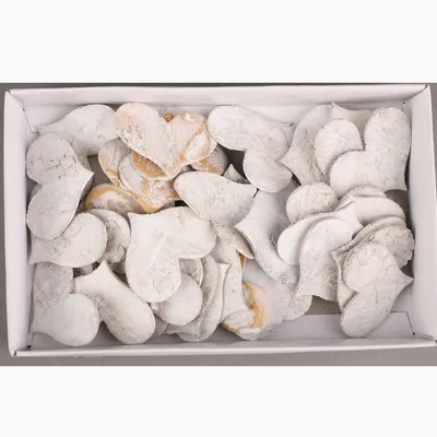 Produktbild von nature trends Birkenrinde - Streuherzen 3,5 cm geweisst - 72 er Box