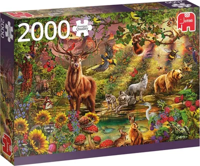 Produktbild von Premium Collection Zauberwald bei Sonnenuntergang - 2000 Teile, 2000 Stück(e), Flora & Fauna, 12 Jahr(e)
