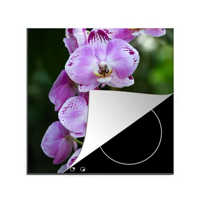 Produktbild von KitchenYeah© Herdabdeckplatte Blühende Orchideen , 78x78cm, Küche Deko, Glaskeramikkochfeld Herdabdeckung, Abdeckplatte fùr Kochfeld