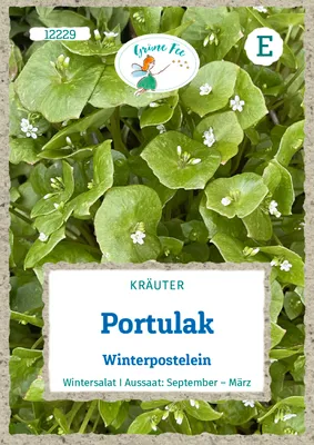 Produktbild von Grüne Fee - Portulak Winterpostelein Samen - 12229