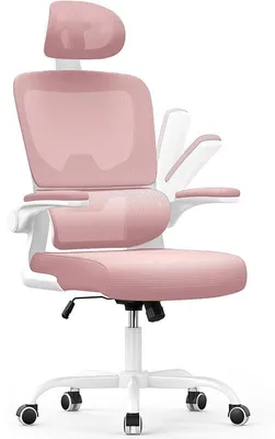 Obrázek produktu pro Ergonomická kancelářská židle X24F00K130, s bederní opěrkou, růžová