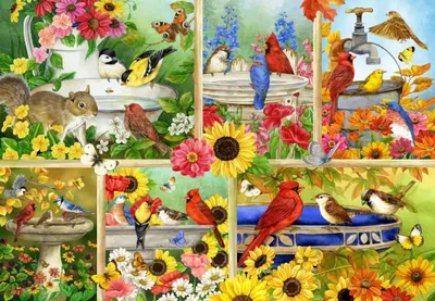 Zdjęcie produktu dla Puzzle Bluebird Puzzle Feathers and Company - 1000 Teile