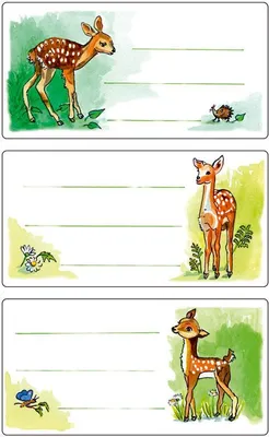 Produktbild von Buchetiketten Bambi  für Hefte