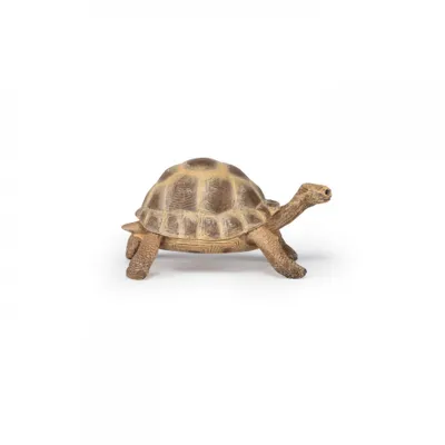 Produktbild von Papo Wild Life Schildkröte 50264