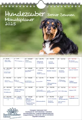 Produktbild von Hundezauber Berner Sennen Planer DIN A4 Kalender für 2025 Hunde Welpen - Seelenzauber
