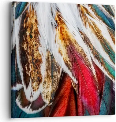 Produktbild von Bild auf Leinwand - Leinwandbild - Federn Federn Vogel - 40x40cm - Wand Bild - Wanddeko - Wandbilder - Leinwanddruck - Bilder - Kunstdruck - Wanddekoration - Leinwand bilder - Wandkunst - AC40x40-3743