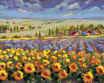 Produktbild von Zuty - Malen nach Zahlen - LAVENDELFELD MIT SONNENBLUMEN, 40x50 cm, mit Keilrahmen (bereits gespannt)
