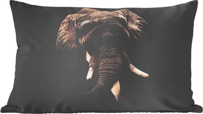 Produktbild von MuchoWow® Zierkissen Sofakissen Wohnzimmer Dekokissen 60x40 cm Alte Meister - Elefant - Anzug - Kopfkissen - Polster mit Foto
