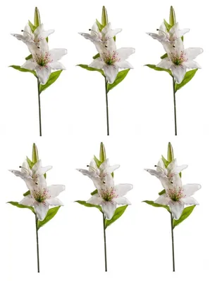 Produktbild von 6er Set künstliche Lilien mit 2 Blüten und Knospe weiß H. 65cm Emerald