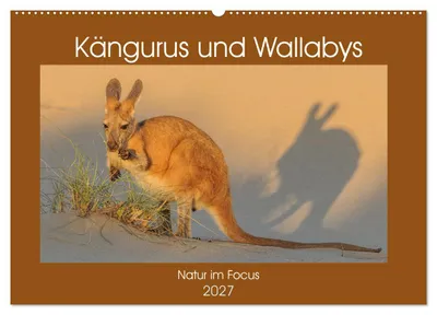 Produktbild von Kängururs und Wallabys (Wandkalender 2027 DIN A2 quer), CALVENDO Monatskalender