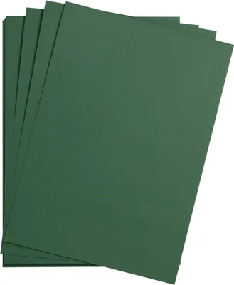 Produktbild von Clairefontaine Tonpapier A4 tannengrün 25Bg