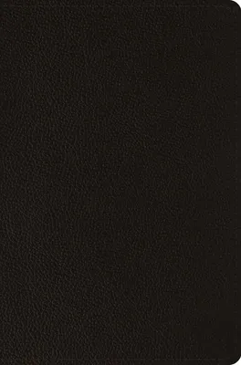 Produktbild von ESV Compact Bible