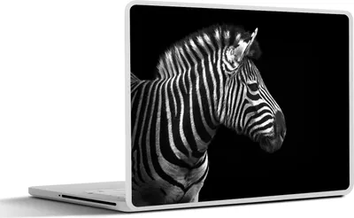 Produktbild von MuchoWow® Laptop Aufkleber Sticker Cover Zebra - Schwarz - Weiß - Porträt - Tiere 25x18 cm - Laptop-Deko