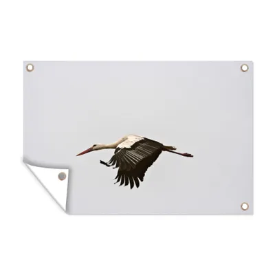 Obrázek produktu pro MuchoWow® Zahradní plakáty - Létající čáp - 80x120 cm - Zahradní dekorace