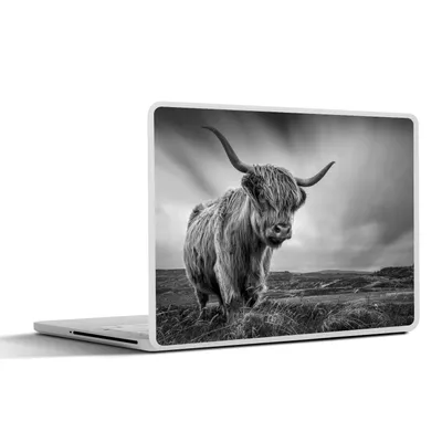 Produktbild von MuchoWow® Laptop Aufkleber Sticker Cover Kühe - Schottische Hochlandkühe - Natur - Tiere - Schwarz und weiß 30x21 cm - Sticker für Laptop - Selbstklebend