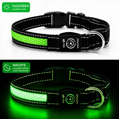 Produktbild von Premium LED Hundehalsband USB aufladbar reflektierend Leuchthalsband verstellbar S–L für Hunde Nacht Sicherheit inkl. Ladekabel Gr. L (50cm) - GRÜN, KI-generiertes Bild