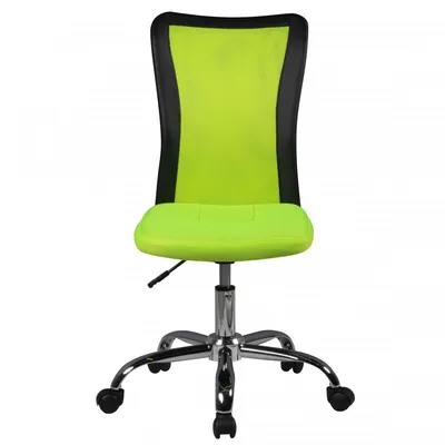 Produktbild von Famanu Kinderstuhl - Ergonomisch, drehbar, verstellbar - Grün/Rosa/Blau - Schwarz