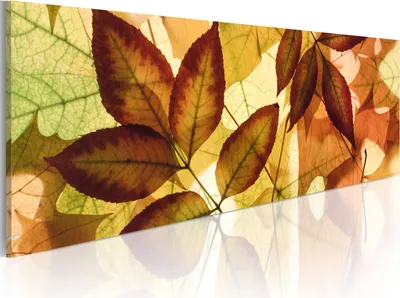 Produktbild von Modernes Wandbild 9060112 (120x40) - 1 Teilig Bilder Fotografie auf Vlies Leinwand Foto Bild Dekoration Wand Bilder Kunstdruck