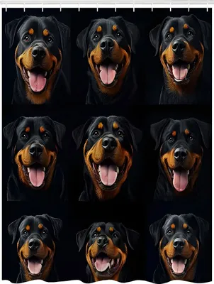 Productafbeelding van Design multifunctionele wanddecoratie, 200x180 cm - Rottweiler