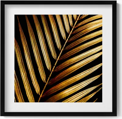 Produktbild von Blatt in Glamour-Gold– Wandbild mit Rahmen – Gerahmtes Bild  – Wanddekoration – 50x50 cm –  Schwarz Rahmen