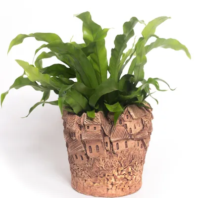 Obrázok produktu pre Cachepot "Oskar pot" rovný tvar Ø vnútri 14,50 cm h 12,50 cm
