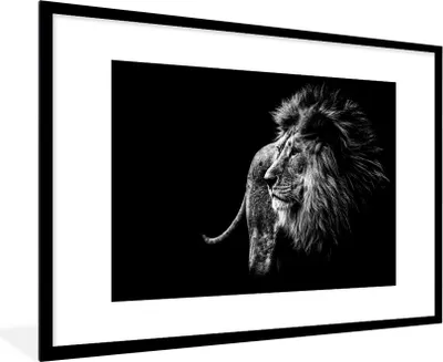 Produktbild von MuchoWow® Gerahmtes Poster Tiere - Wild - Löwe - Schwarz - Weiß 90x60 cm - Poster mit Schwarzem Bilderrahmen Wandposter Rahmen Foto Bilder - Wanddekoration - Fotos