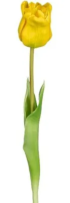 Produktbild von artplants.de Künstliche Papageientulpe DOVLE, gelb, 45cm - Kunst Papageientulpe