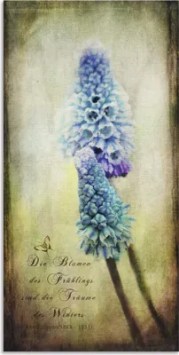 Produktbild von ARTland Wandbild Alu für Innen & Outdoor Der Frühling kommt Größe: 20x40 cm