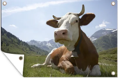 Produktbild von MuchoWow®