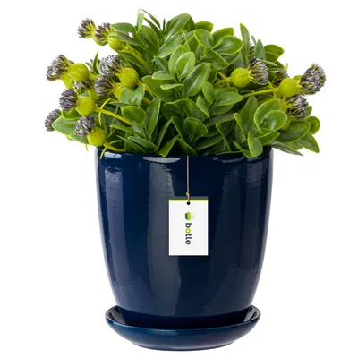 Image de Pot de fleurs bleu foncé rond Hauteur 14 cm Bol à fleurs avec soucoupe Céramique brillante glamour