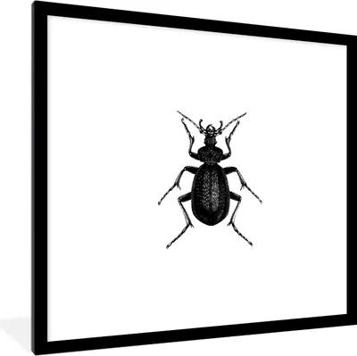Produktbild von MuchoWow® Gerahmtes Poster Schwarz und weiß - Käfer - Vintage - Insekten 40x40 cm - Poster mit Schwarzem Bilderrahmen Wandposter Rahmen Foto Bilder - Poster - Plakat im Rahmen