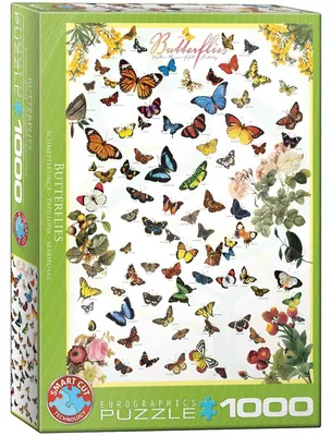 Produktbild von Eurographics Butterflies 1000pcs, 1000 Stück(e), Tiere