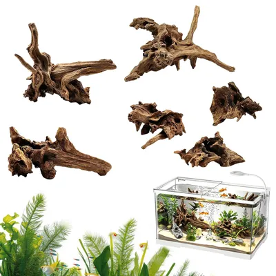 Imagen del producto de Madera natural para acuarios, 6 unidades, de 5 a 15 cm, ideal para decorar acuarios