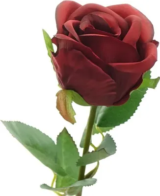 Produktbild von GASPER Rose Rot 44 cm - Kunstblumen